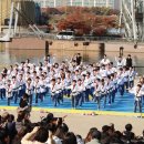 멘토태권도 이미지