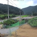 완텍 이미지