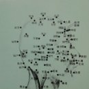 곤륜한의원 이미지