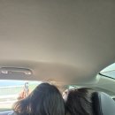 나무들의 수다 이미지