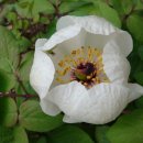 비목쉼터 이미지