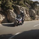 대로2-31 이미지