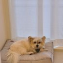 나봄스파 이미지