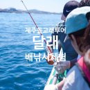 허육도 선착장 공중화장실 | 제주도 대정읍 돌고래 찾기 고수 제주도 돌고래 투어 달래 배낚시체험