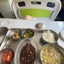 삼성동물병원 | [합천삼성병원입원후기]