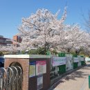 송광중학교 이미지