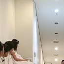 피아노치는고양이학원 이미지