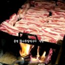 힐링이돼지 이미지