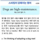 Dogs are high-maintenance.(개는 손이 많이 가.) 이미지