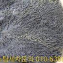 트윙클스팀세차