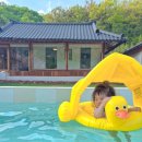 스테이 서하 이미지