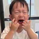 천본앵 이미지