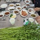 [청도한재미나리와 삼겹살의 환상 조합! 한재스타미나리 방문 후기]