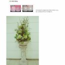 나비드치과의원 이미지