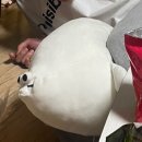 뽁덕방 이미지