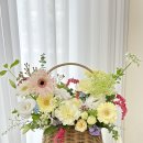 소예플레르 이미지
