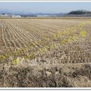 삼봉주유소 이미지