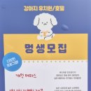 졸리쇼 이미지