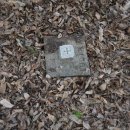 곡성-204 이미지