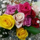 추억만들기 이미지