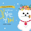스타펫 이미지