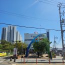 군산평화중고등학교 | [군산] 평화족발 후기 / 치아교정러도 반한 공설시장 족발맛집