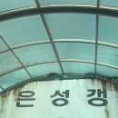 새벽골송어장 | 대구근교 키즈캠핑 애견동반 문경 리우캠핑장 문경에코월드 민지송어장 후기