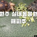 연이동물원