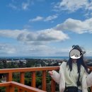 제주허브동산 | 제주 서귀포 갈만한 곳, 사진 찍기 좋은 제주허브동산 후기