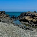 화암공원 | [울산 북구] 강동 화암 주상절리 - 전 견종 가능 · 맹견 입마개 · 목줄 착용 · 배변봉투 지참