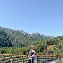 정래할머니 이미지