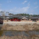 죽정 Daum카페