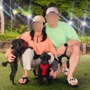 글램독청평 이미지