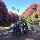 동백꽃약국 이미지