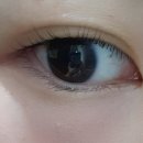 하바나뷰티