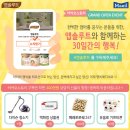 앱솔루트