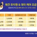 댕댕이 지구대 네이버블로그