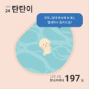 다빌리온 이미지