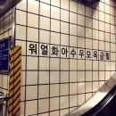 망원동 애견동반 맛집｜라오삐약 후기, 뉴케이스 카페