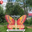 용소금각로 이미지