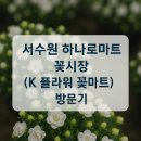 열린마트 | 서수원 하나로마트 꽃시장(K 플라워 꽃마트) 방문기