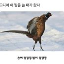 해평식당 이미지