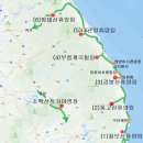 토토큰바위 야영장 | 대관령 자연휴양림 야영장 가을 캠핑 - 야영장 전체 사이트 리뷰