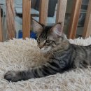 쿤이네집 이미지