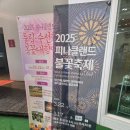 피나클랜드 불꽃축제 2025 명당 시간 주차장 꿀팁 후기