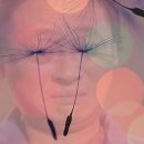 맛있는고기에솜씨를더하다 이미지