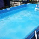 애견동반 멍멍아노올자 이미지