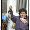 독천시장 이미지