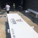 정육혈통