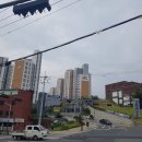 도배나라 - 서귀포시 고성오조로 90 | 도배나라